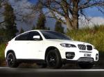 BMW X6 xDrive 3.0d 2011 года (AU)